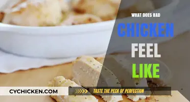 How to Spot Spoiled Chicken: Texture and Smell Guide