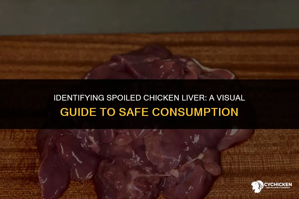 what does bad chicken liver look like