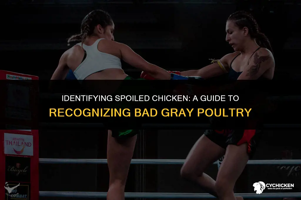 what does bad gray chicken look like