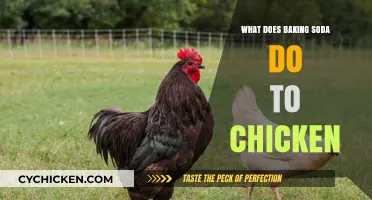 Baking Soda's Magic: Transforming Chicken Texture and Flavor Explained