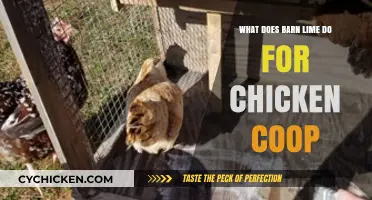The Benefits of Barn Lime in Your Chicken Coop