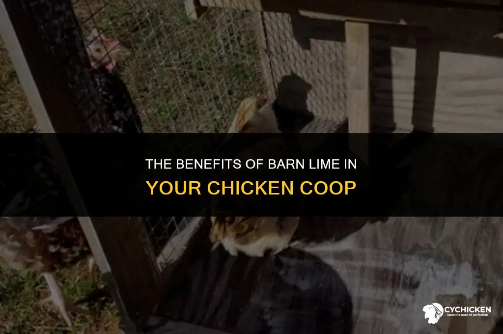 what does barn lime do for chicken coop