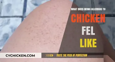 Unraveling the Mysteries of Chicken Allergies: Symptoms and Stories
