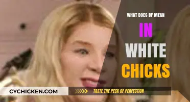 Decoding 'BF' in 'White Chicks': Meaning and Context Explained