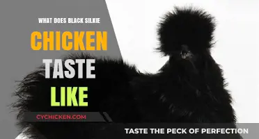 Unveiling the Unique Flavor Profile of Black Silkie Chickens