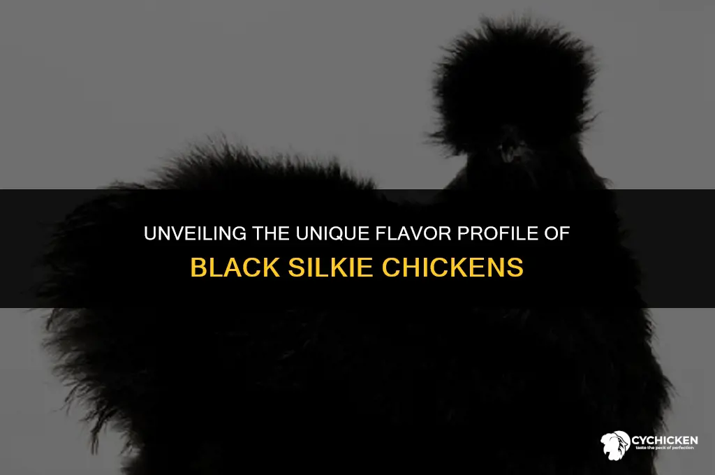 what does black silkie chicken taste like