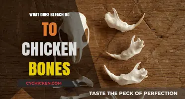 Bleach's Impact on Chicken Bones: Effects, Safety, and Scientific Insights