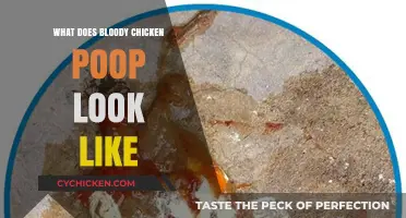Unveiling the Truth: What Bloody Chicken Poop Really Looks Like