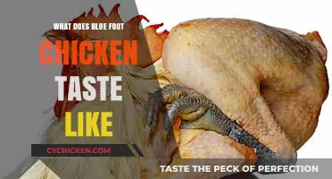 Exploring the Unique Flavor Profile of Blue Foot Chicken