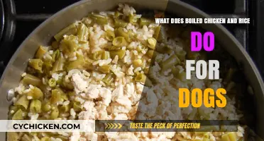 Chicken and Rice: A Dog's Comfort Food