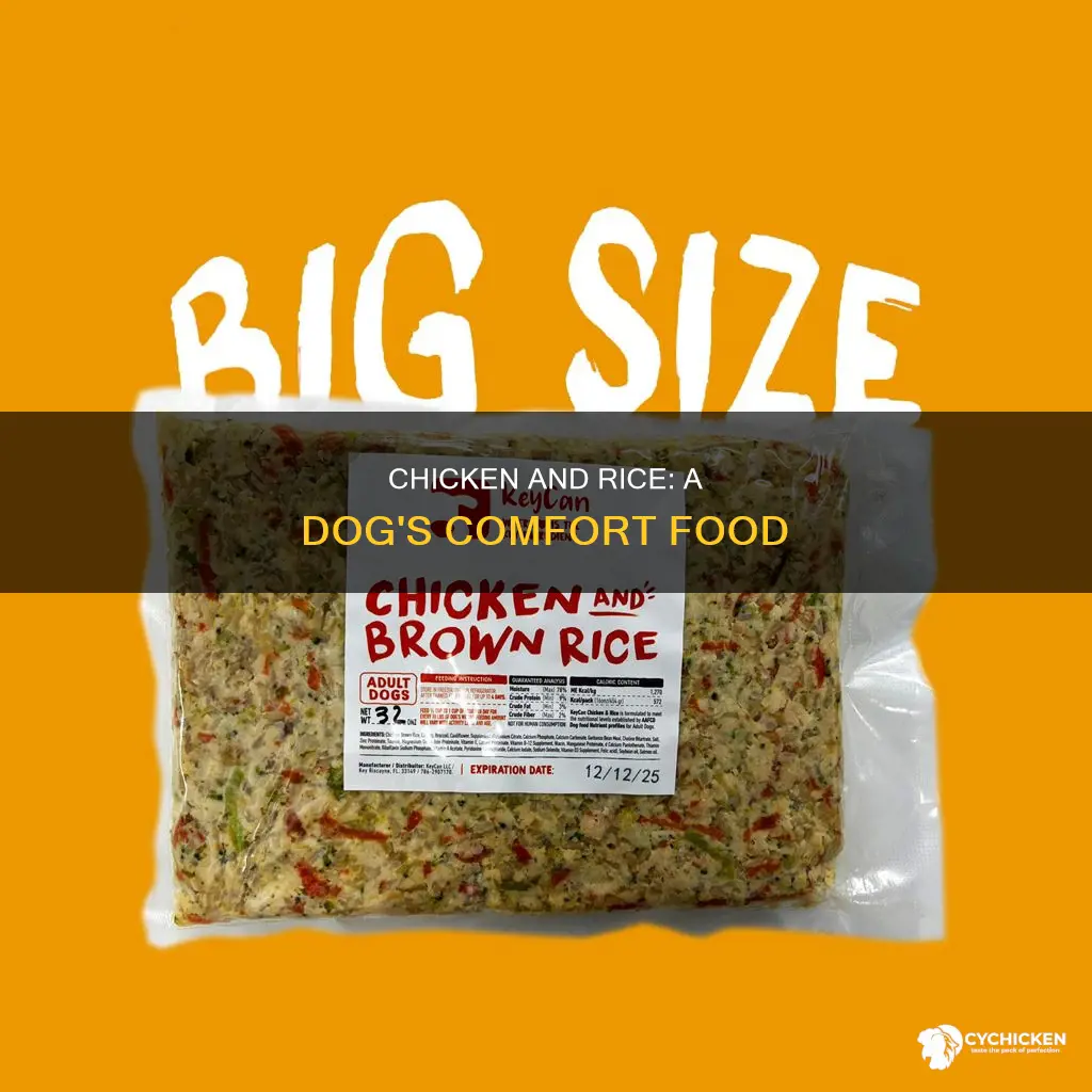 what does boiled chicken and rice do for dogs