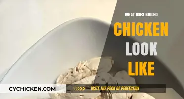 Exploring the Appearance of Perfectly Boiled Chicken: A Visual Guide