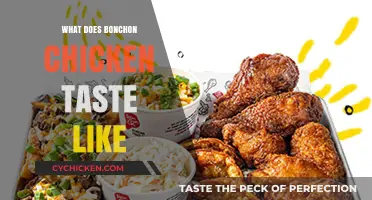 Savoring the Flavor: A Taste Test of Bonchon Chicken