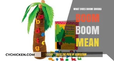 Unraveling the Meaning Behind 'Boom Chicka Boom Boom