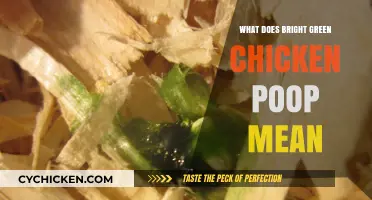 Understanding Bright Green Chicken Poop: Causes and What It Indicates