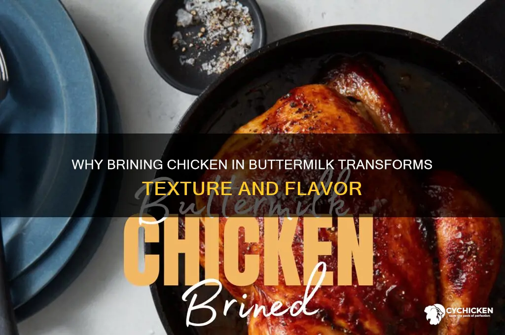 what does brining chicken in buttermilk do