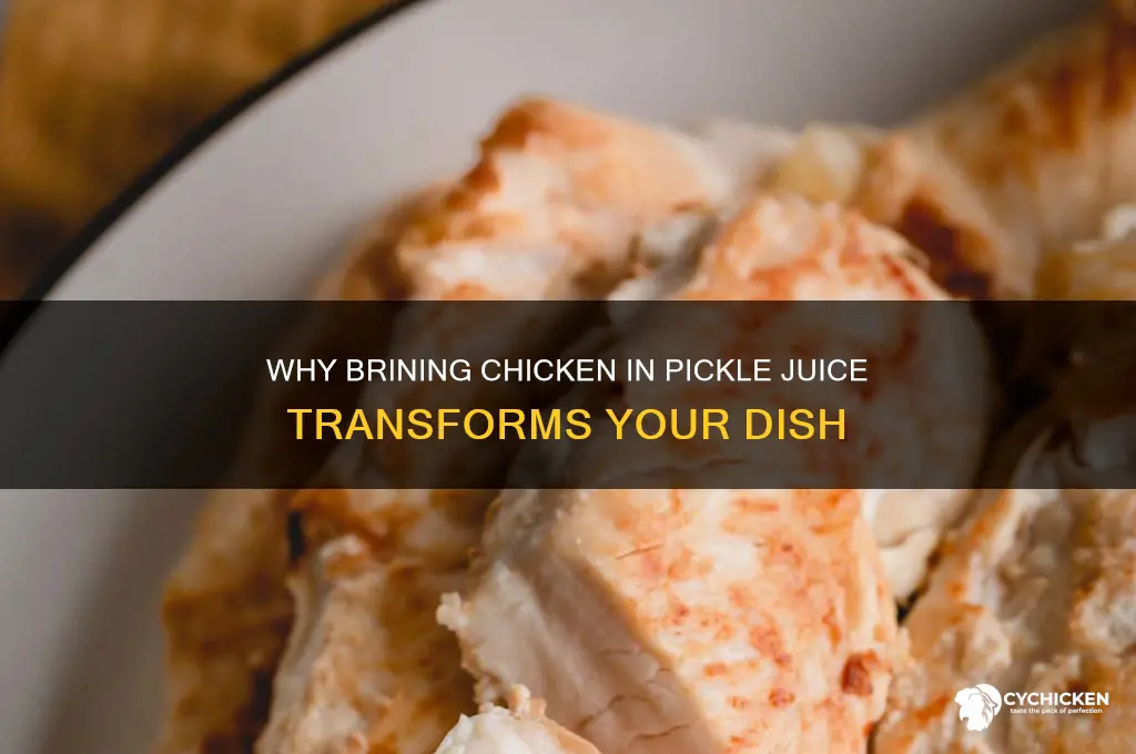what does brining chicken in pickle juice do