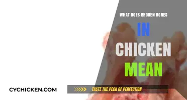 Understanding Broken Bones in Chicken: Causes, Prevention, and Impact