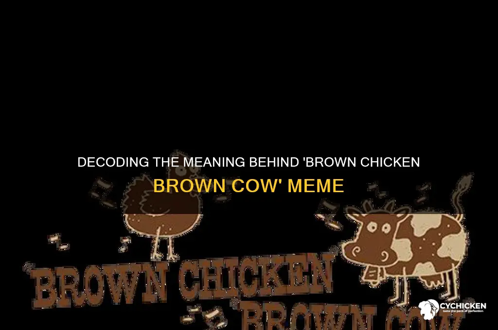 what does brown chicken brown cow me