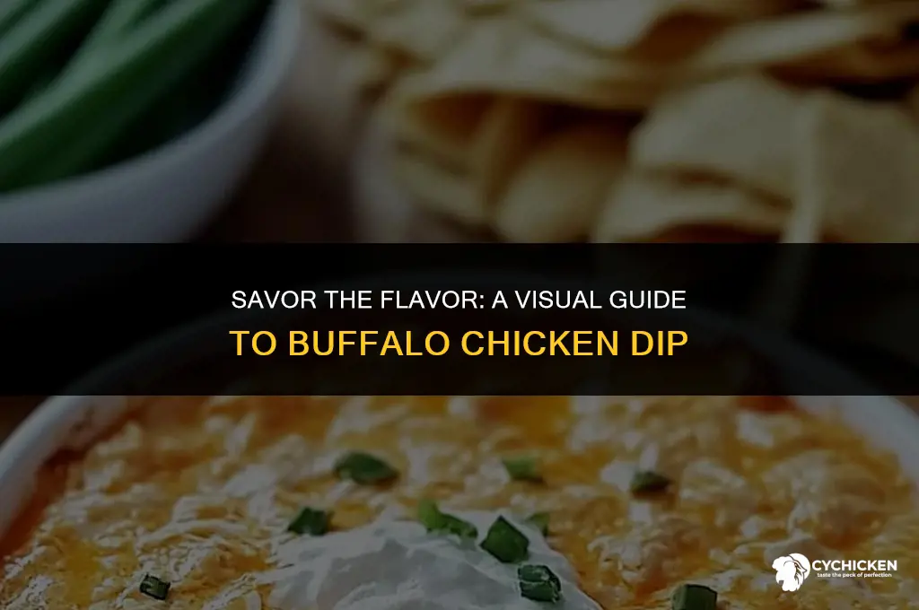 what does buffalo chicken dip look like