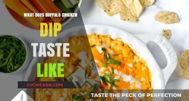 Savor the Flavor: A Taste Test of Buffalo Chicken Dip