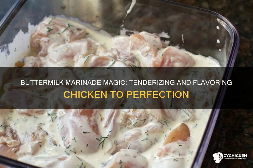 what does buttermilk marinade do to chicken