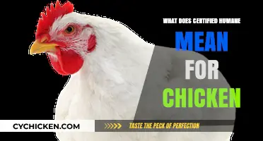 Understanding Certified Humane: What It Means for Chicken Welfare and Quality
