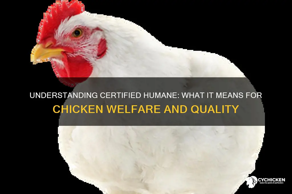 what does certified humane mean for chicken