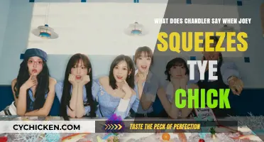 Chandler's Reaction to Joey's Chick Squeeze