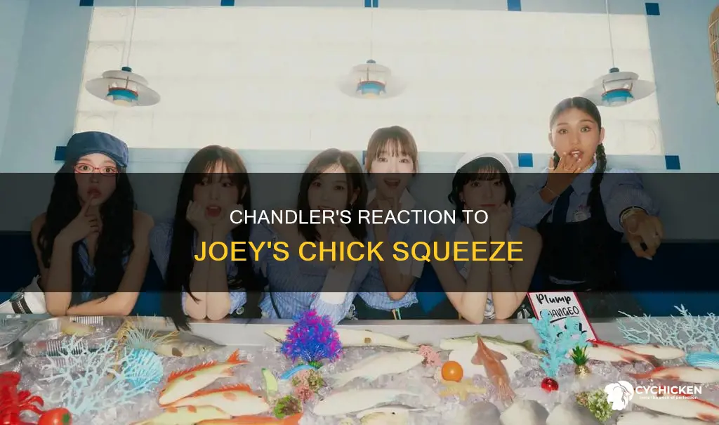 what does chandler say when joey squeezes tye chick