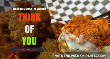 Chica the Chicken's Thoughts: Uncovering Her Quirky Opinion of You