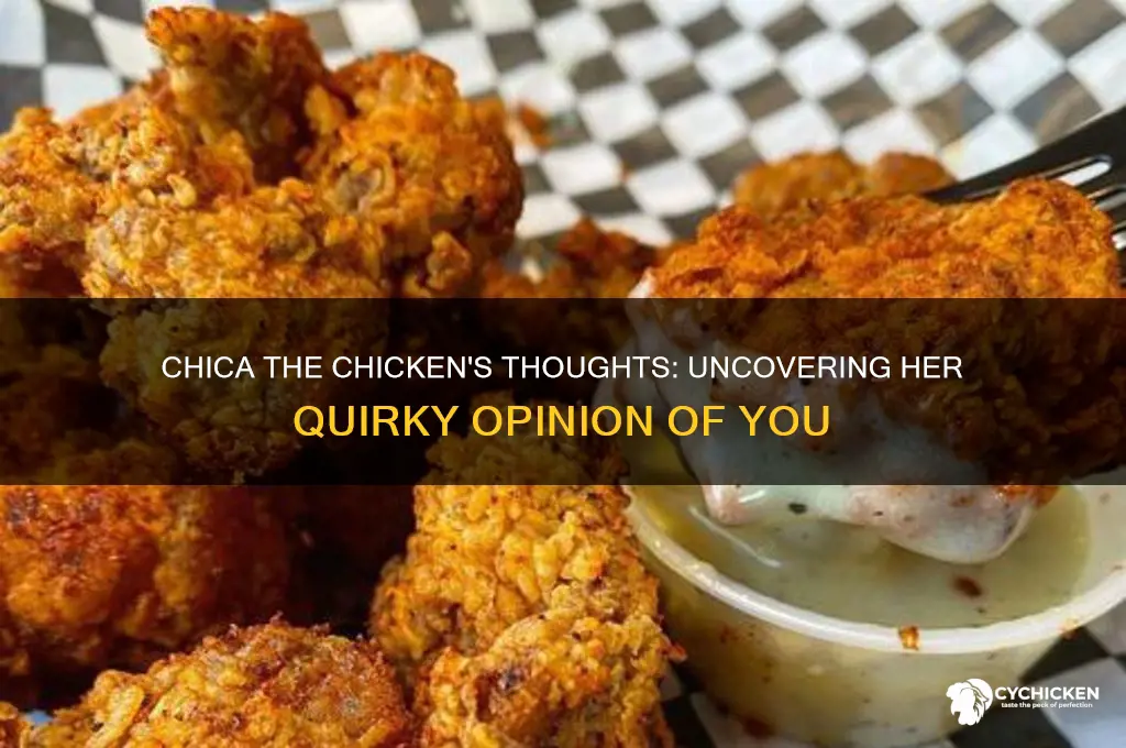 what does chica the chicken think of you