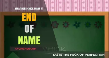 What Does 'Chick' Mean at the End of a Name? Explained
