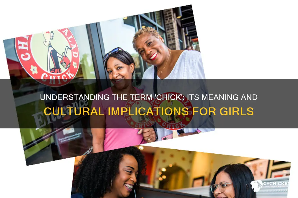 what does chick mean referring to a girl