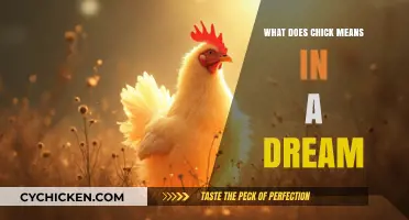 Decoding Chick Dreams: Symbolism, Meanings, and Hidden Messages Explained