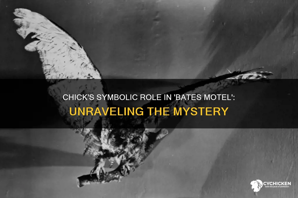 what does chick represent on bates motel