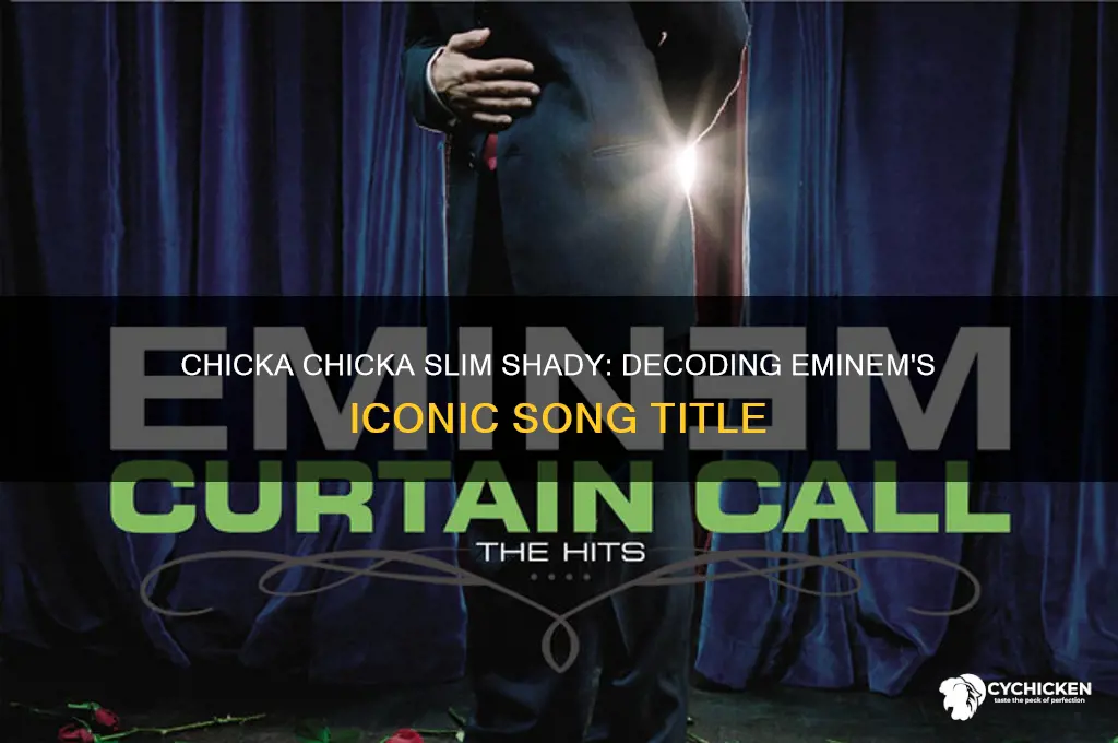 what does chicka chicka slim shady mean