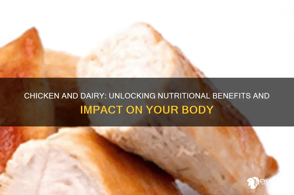 what does chicken and dairy do your body