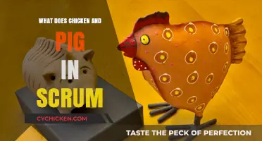 Understanding the Chicken and Pig Roles in Scrum Framework