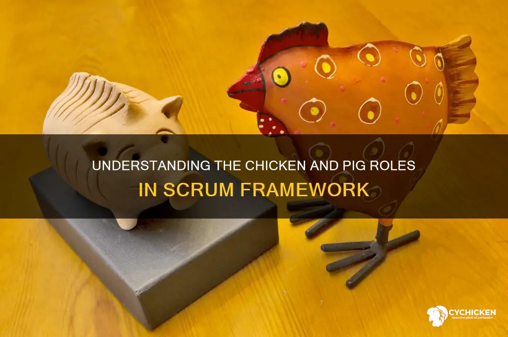 what does chicken and pig in scrum