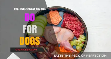 Chicken and Rice for Dogs: Benefits, Uses, and Feeding Tips