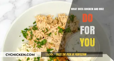 Chicken and Rice Benefits: Nutrition, Energy, and Health Boost Explained