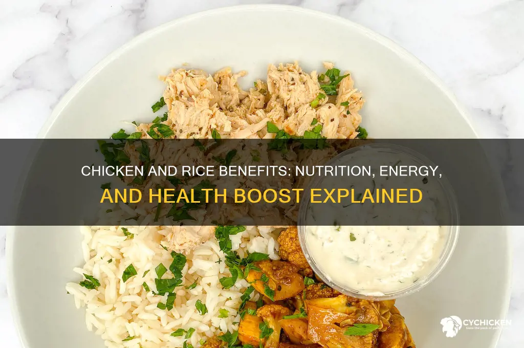 what does chicken and rice do for you