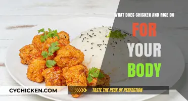 Chicken and Rice: Nutrition, Benefits and More