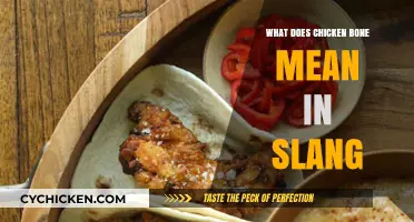 Decoding Chicken Bone Slang: Meaning, Origins, and Modern Usage Explained