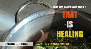 Chicken Bone Broth: Healing Powers Unveiled