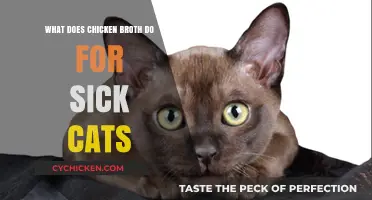 Healing Benefits of Chicken Broth for Sick Cats