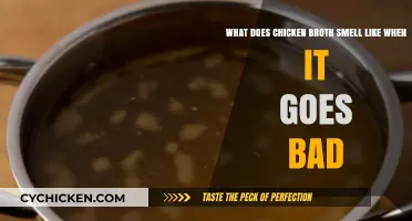 Spoiled Chicken Broth: Unpleasant Odors and Food Safety Concerns