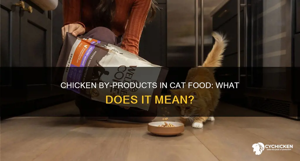 what does chicken by product mean in cat food