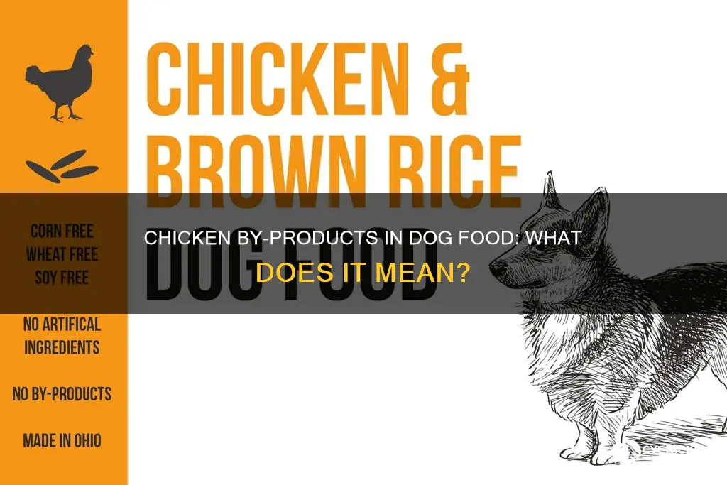 what does chicken by product mean in dog food